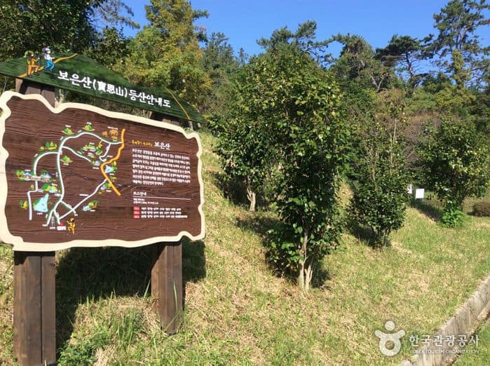 전남_강진_보은산04