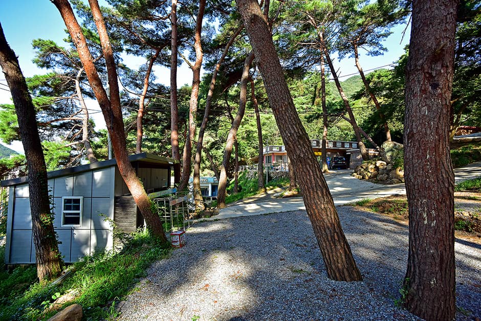 섬지캠핑장_캠핑장2