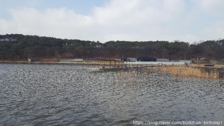 경기도_시흥시_금이낚시터_낚시터2