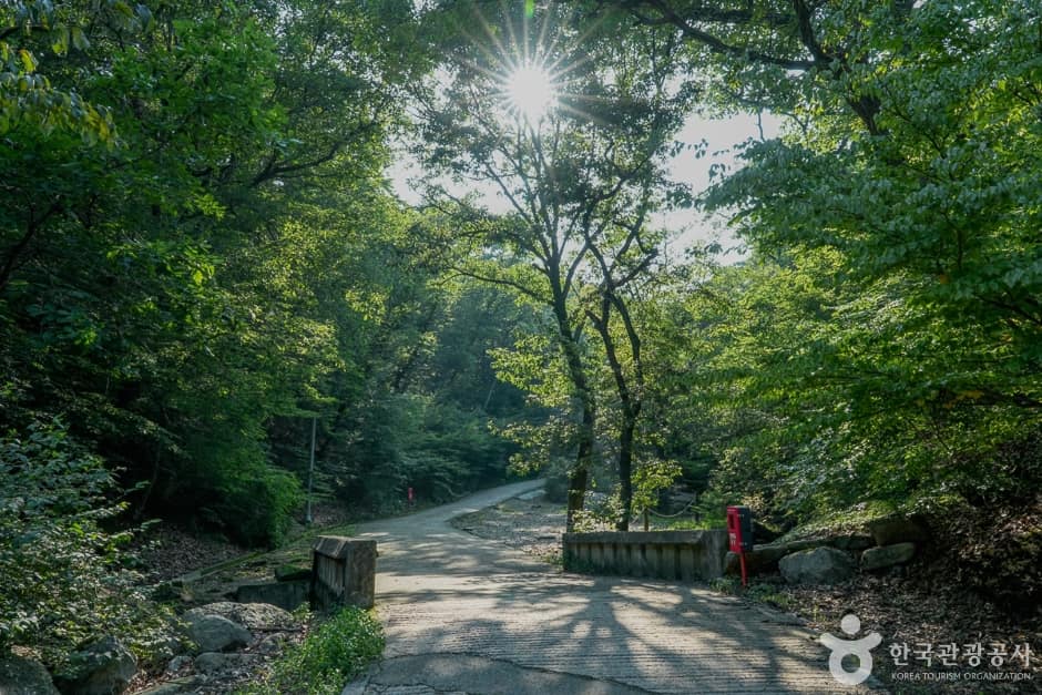 함허동천계곡(9)