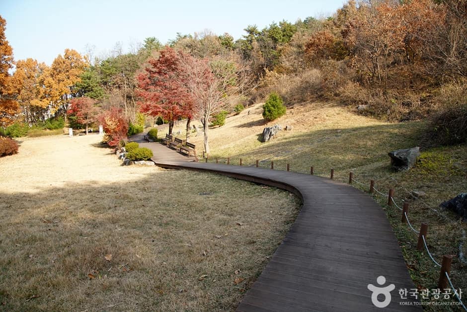 천곡천연동굴 자연학습체험공원 (9)