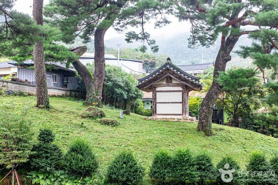 영주_영주 솔향기마을 (2)
