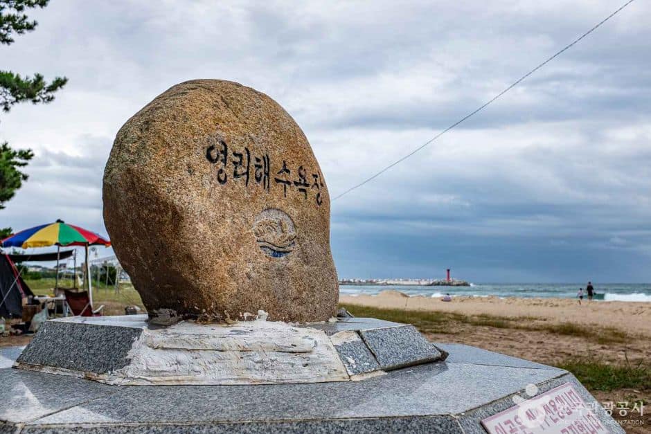 영덕_영리해수욕장 (1)
