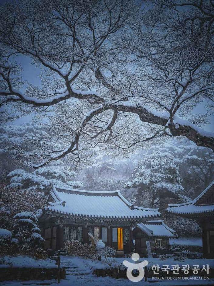 강화 전등사_산사의 설야 (공모전)