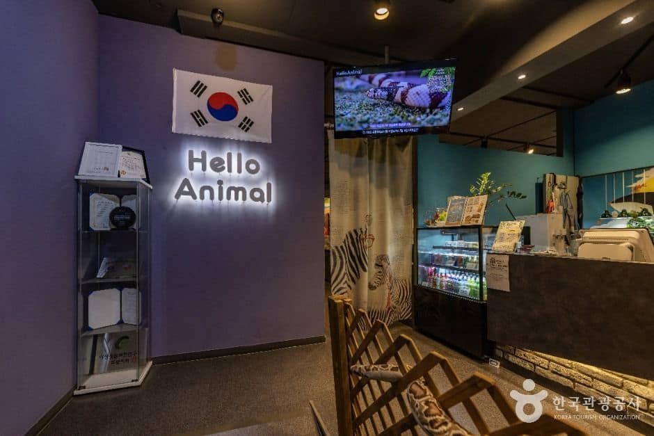 서울도봉_헬로애니멀 (1)