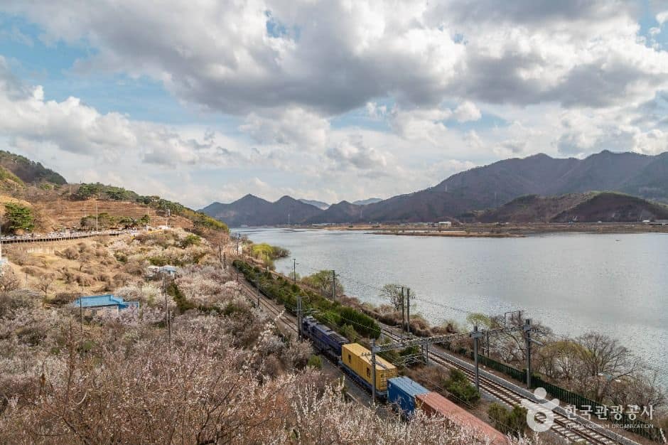 양산_순매원 (1)