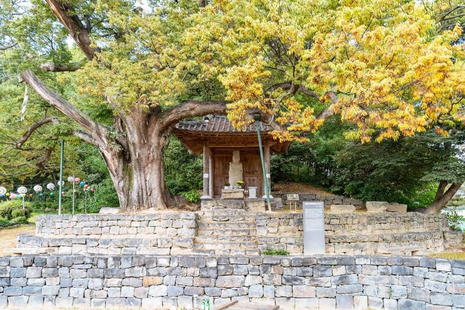 증평_증평 미암리 석조관음보살입상 (1)
