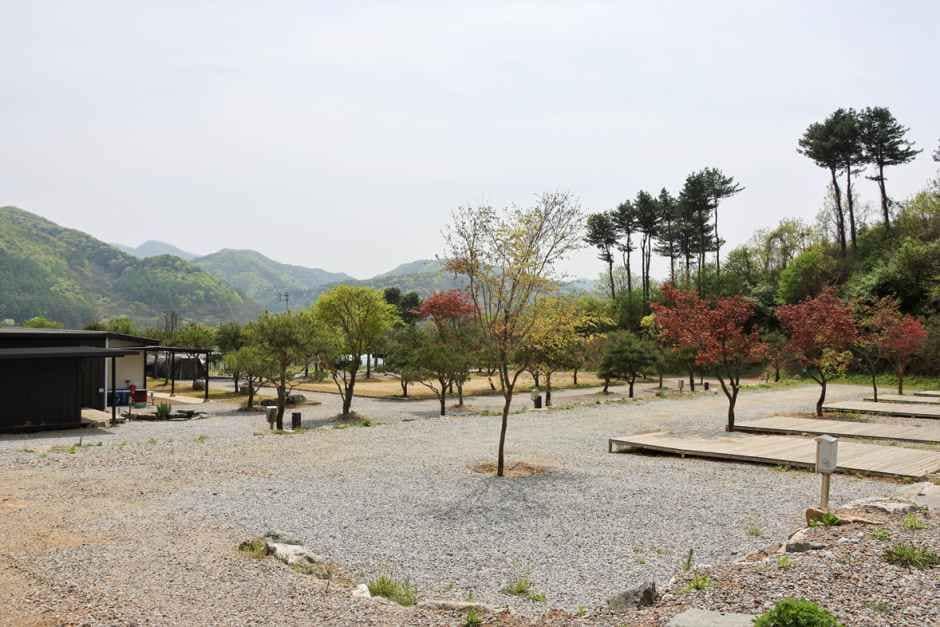 양평_윤오토캠핑장 (8).jpg
