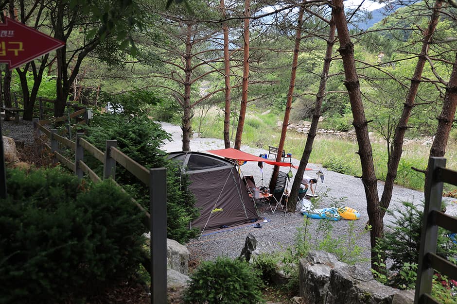 파라다이스캠프_캠핑