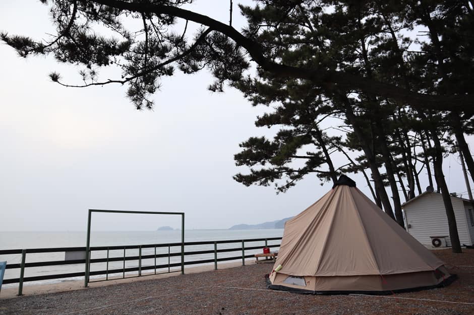 충청남도_태안군_몽산포오토캠핑장 2구역_캠핑