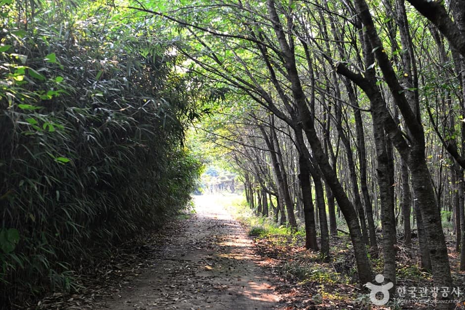 전남_구례_대전리석불입상 (9)