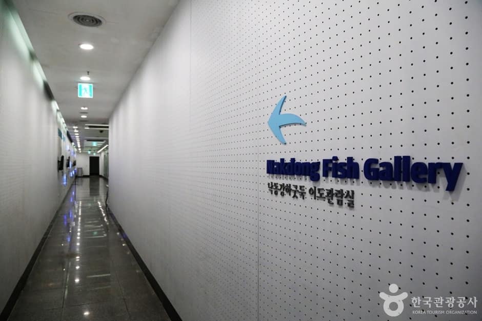 낙조정 (3)