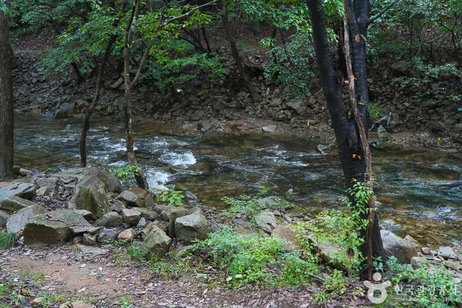 용현계곡 (8)