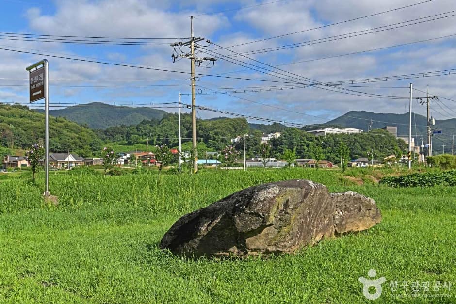 충주_충주 신청리 지석묘 (1)