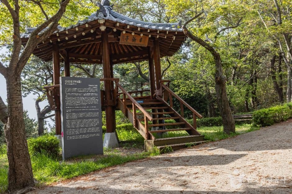 부산_신선대(부산) (1)