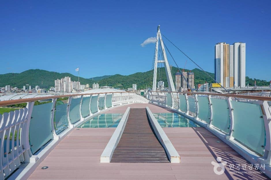 양산_양산천 구름다리 (6)