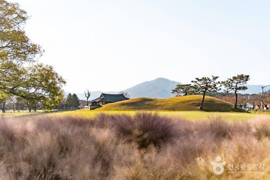 경주_경주 동부 사적지대 (5)