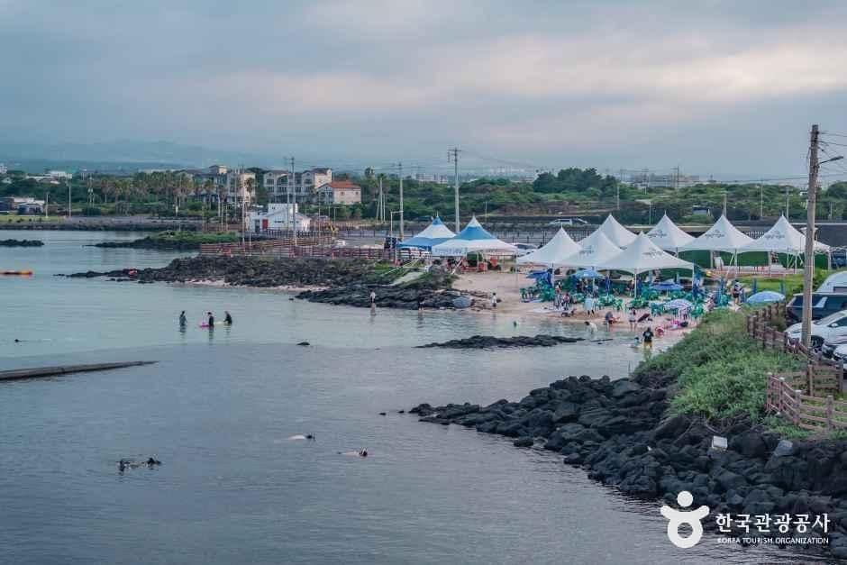 제주_제주신흥해수욕장 (6).jpg