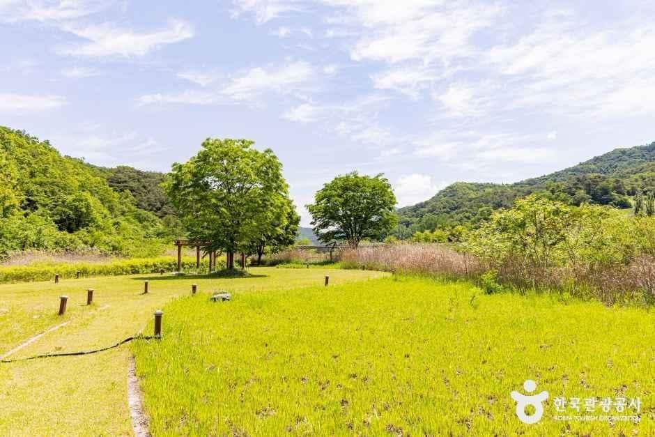 제천_옥순봉생태공원 (6).jpg