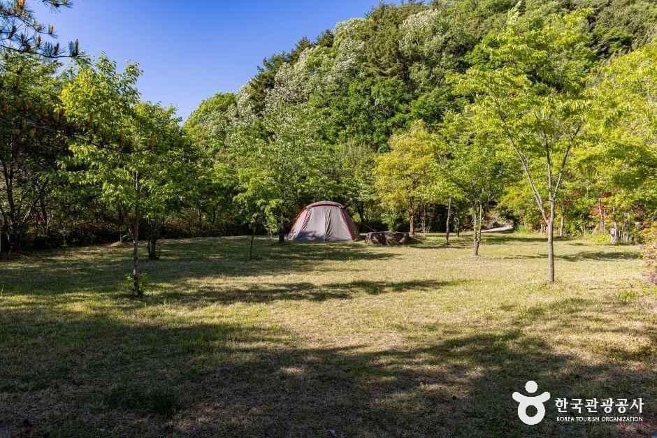 영동_달자캠핑장 (4).jpg