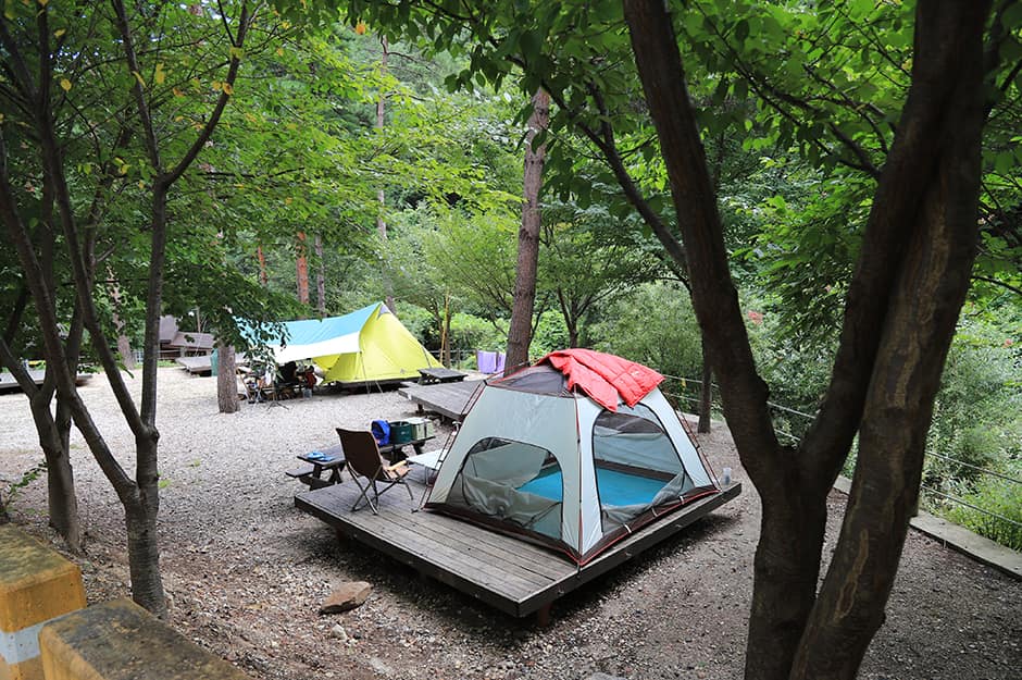 국립검봉산자연휴양림야영장_텐트