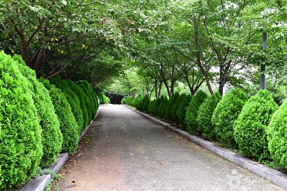 광주_광산_수완인라인롤러경기장 (14)