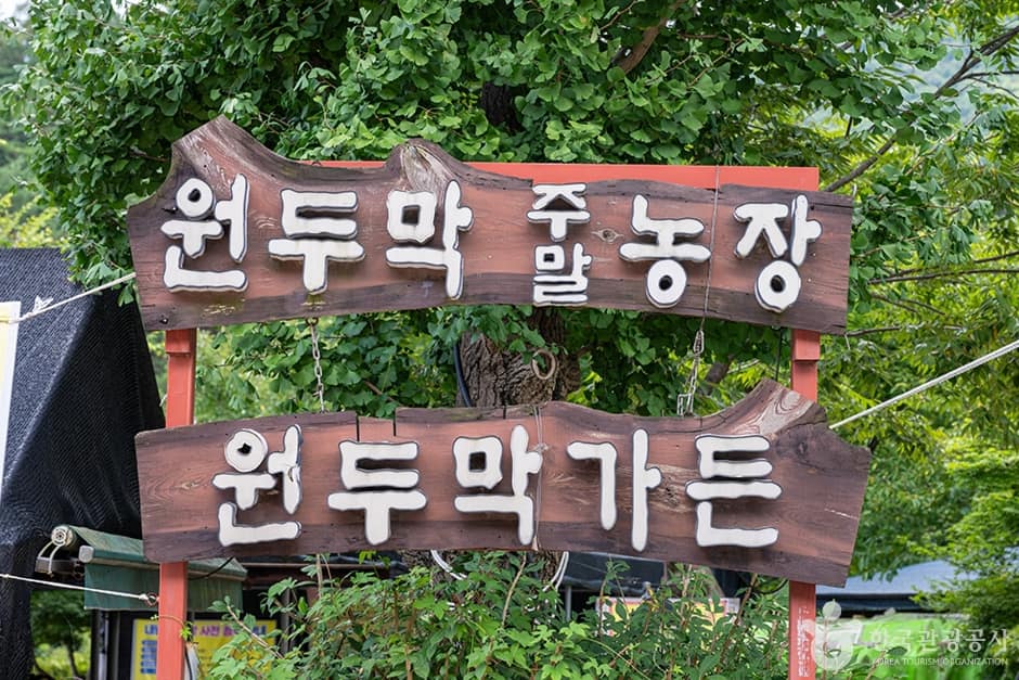 원두막주말농장 (1)