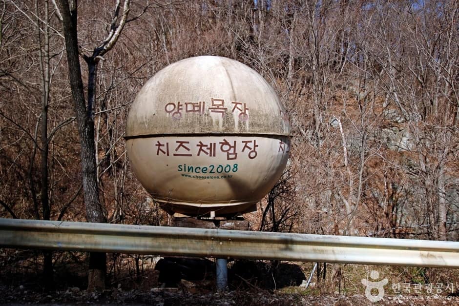 양떼목장임실치즈마을 (2)