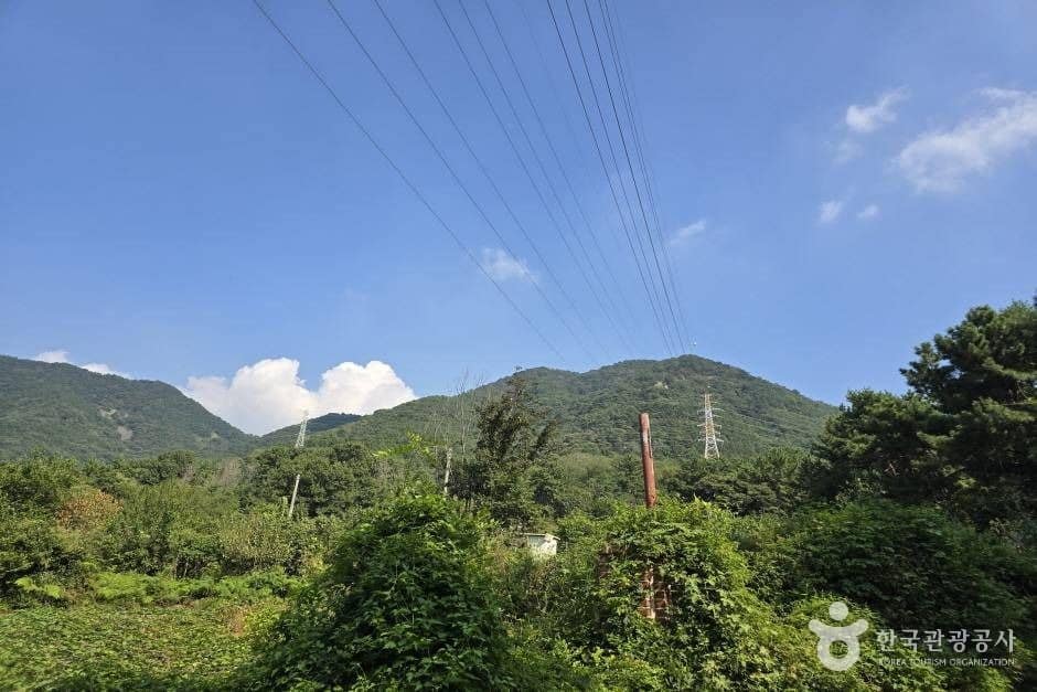창원 진례산성_e (2)