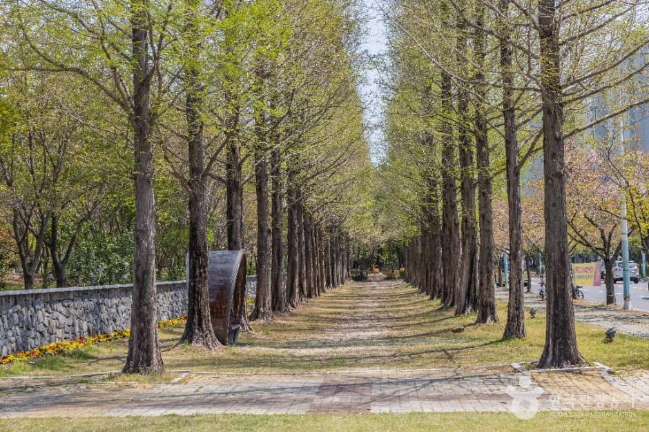 부산_명지동근린공원 (9)