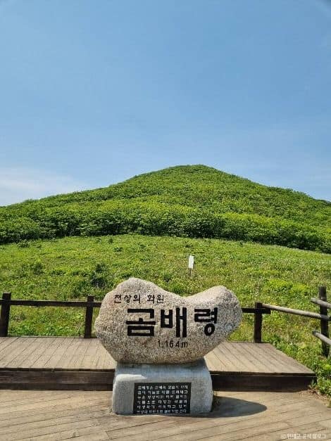 인제_점봉산 곰배령 (5)