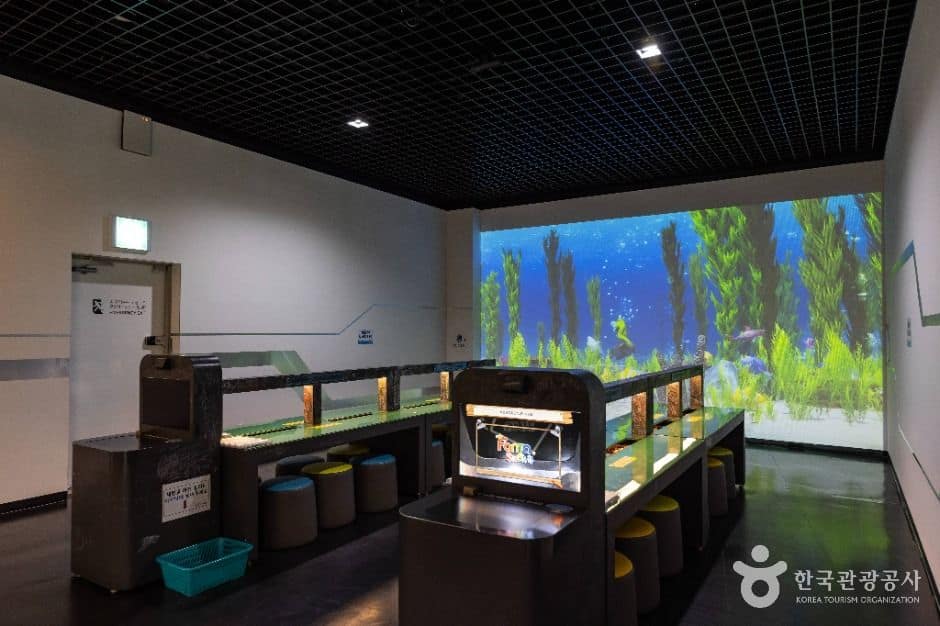 청주_충청북도자연과학교육원 과학전시관 (9)