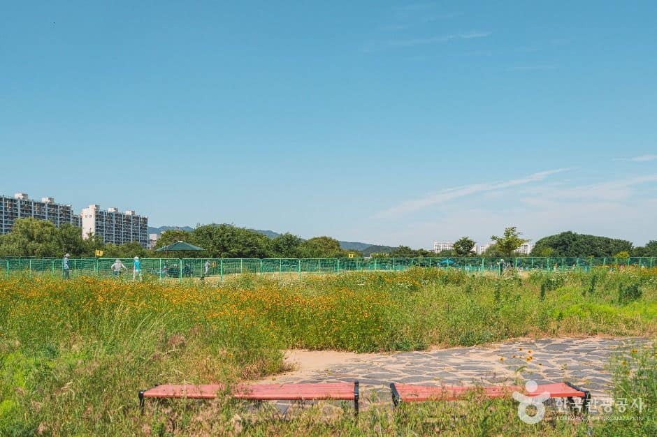 대구_팔현생태공원 (2)