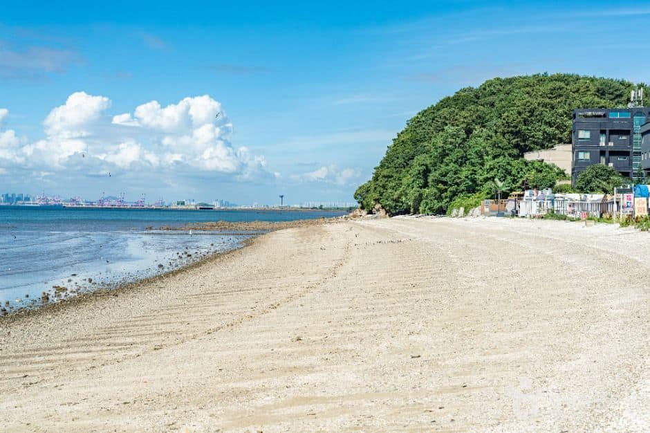 안산_구봉솔숲해수욕장 (3)