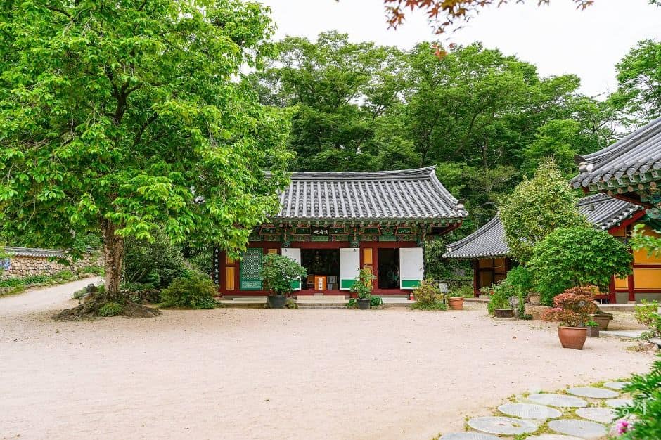 경주_기림사 (5)