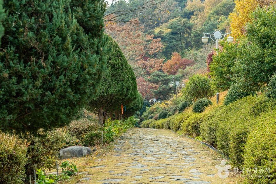 영광_백제불교최초도래지 (1)