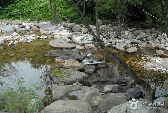 만산동계곡