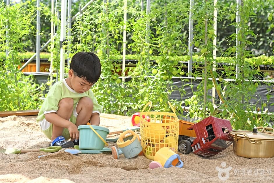 관광두레 8월기사 별마루농장 14