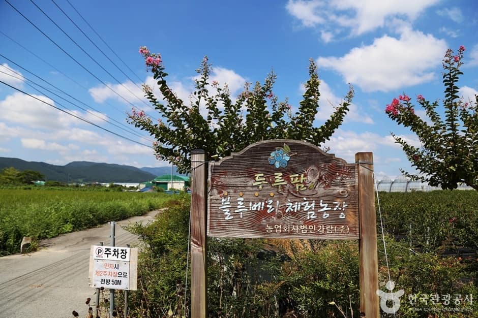 두루팜 (1)