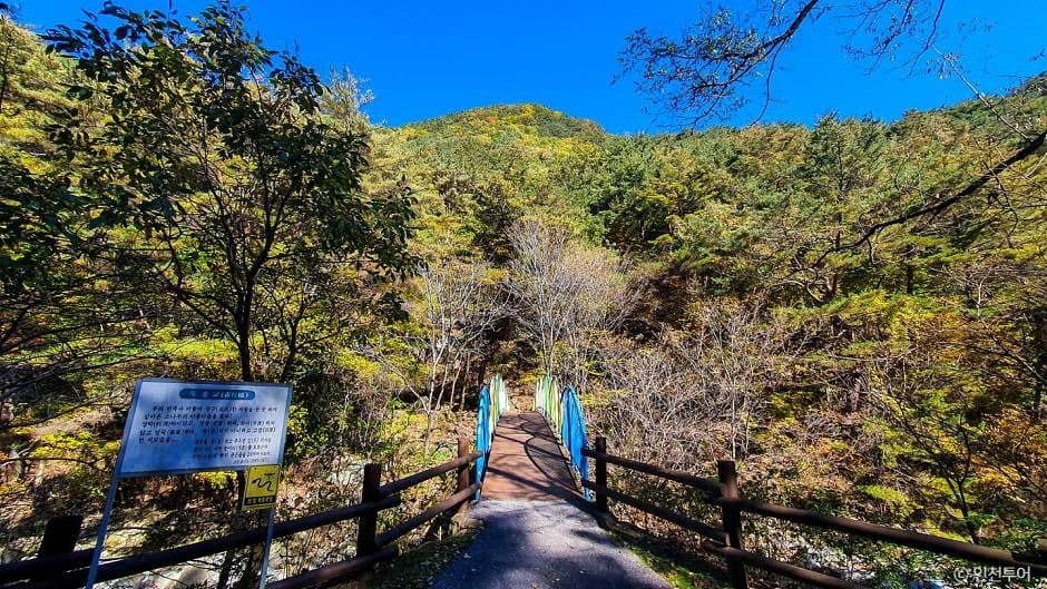 정선_국립 가리왕산자연휴양림 (9)