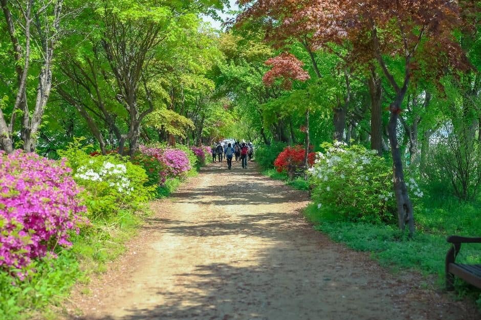 안양_[서울둘레길 13코스] 안양천 상류코스 (9)
