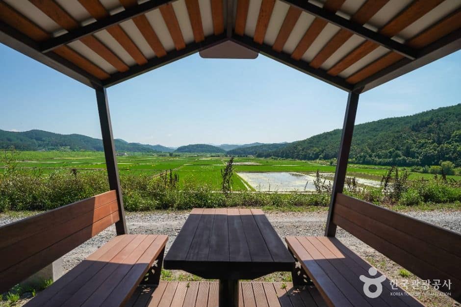 창녕_우포출렁다리 (1)