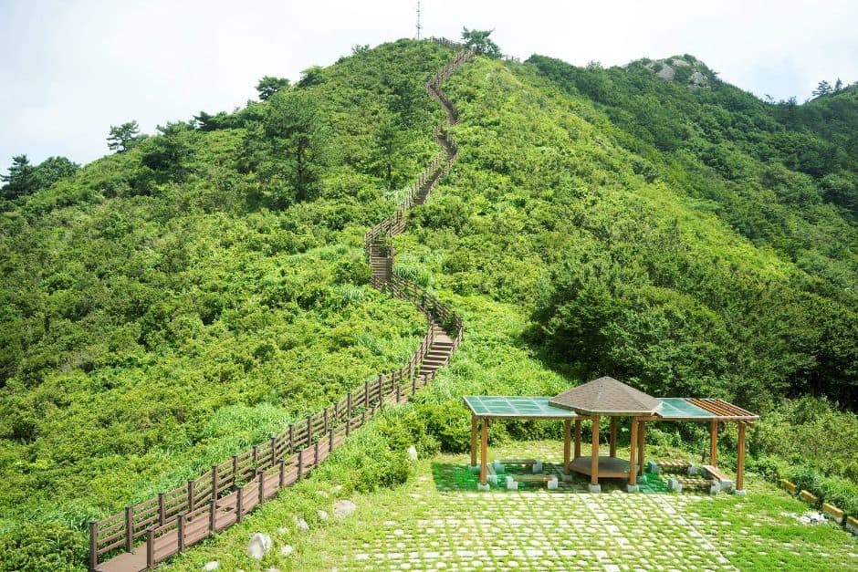 고흥_천등산(고흥) (7)
