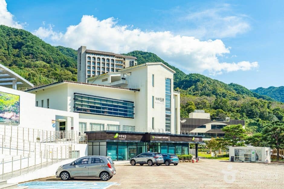 하동_하동야생차박물관 (2)