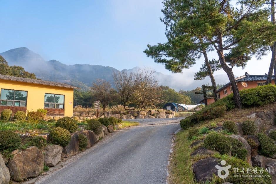 제천_제천 산야초마을 (2)