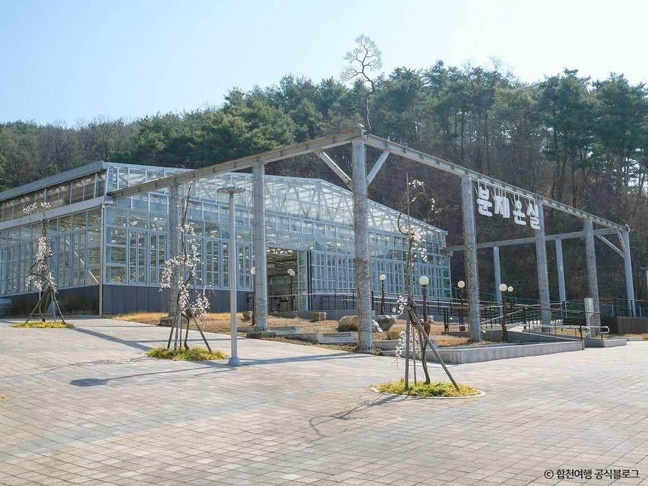 합천_합천목재문화체험장 (2)