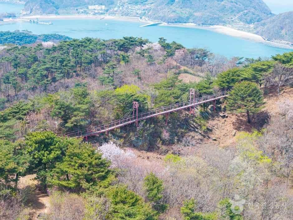 인천_부아산 구름다리 (6).jpg