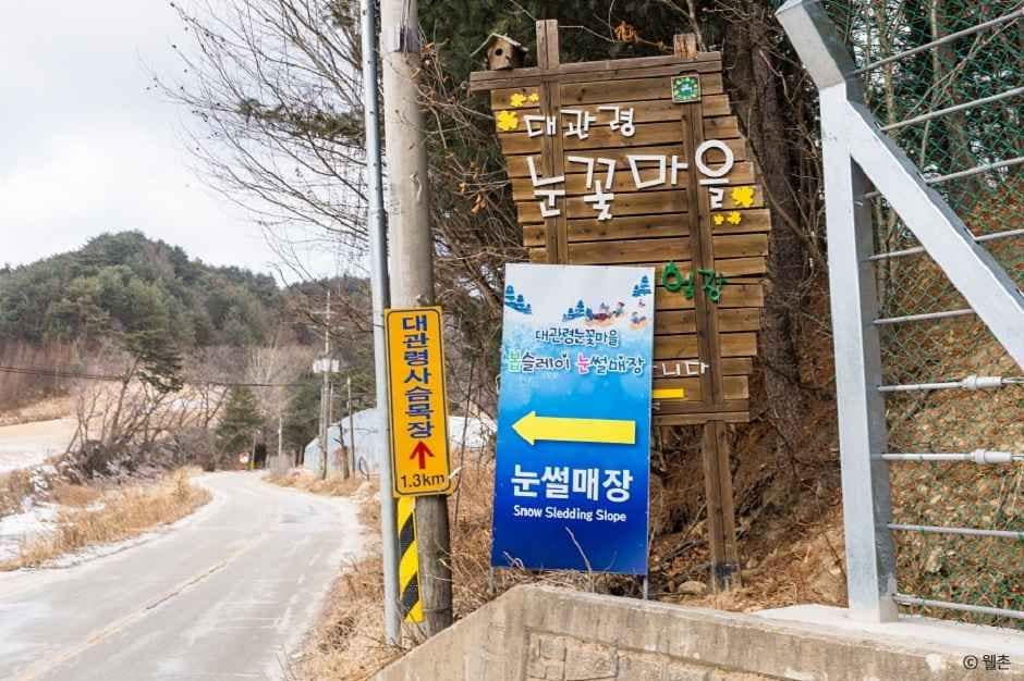 평창_대관령 눈꽃마을 (1).jpg