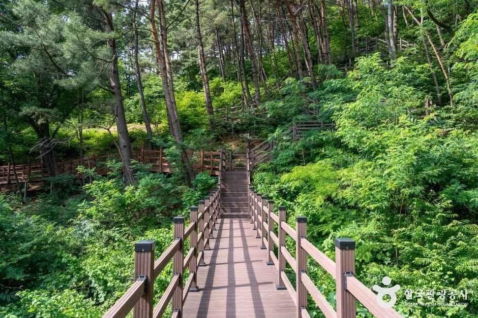 경북_경산_경산 치유의 숲_외부_02.jpg