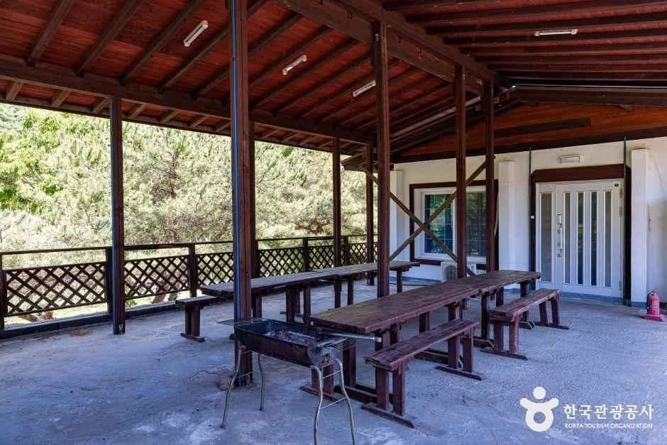 제천_엘림펜션오토캠핑장 (6).jpg